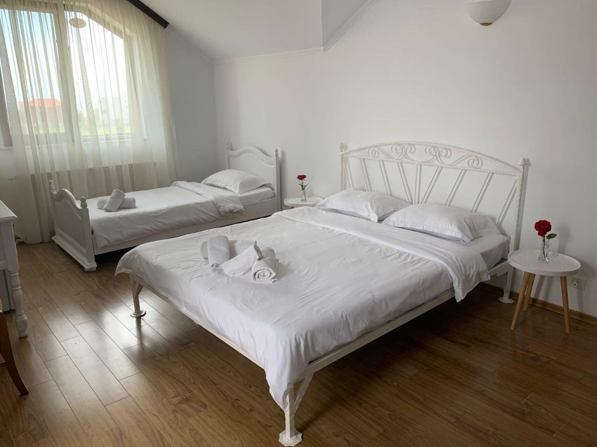 Hotel Vila Ann à Eforie Nord Extérieur photo